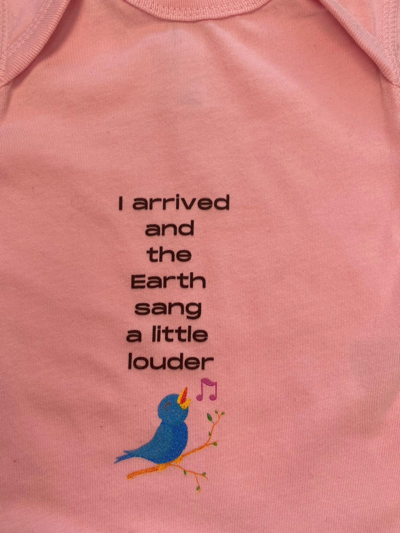 Organic Baby Gro: One Piece Body Suit: I Arrived and the Earth Sang a Little Louder (Short Sleeve)